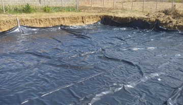 Imagem WhatsApp 2025-11-18 as 15.14.05_9f82df74.jpg